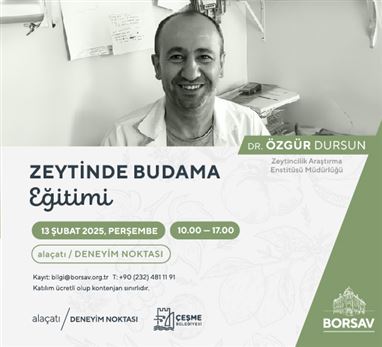 Zeytinde Budama Eğitimi